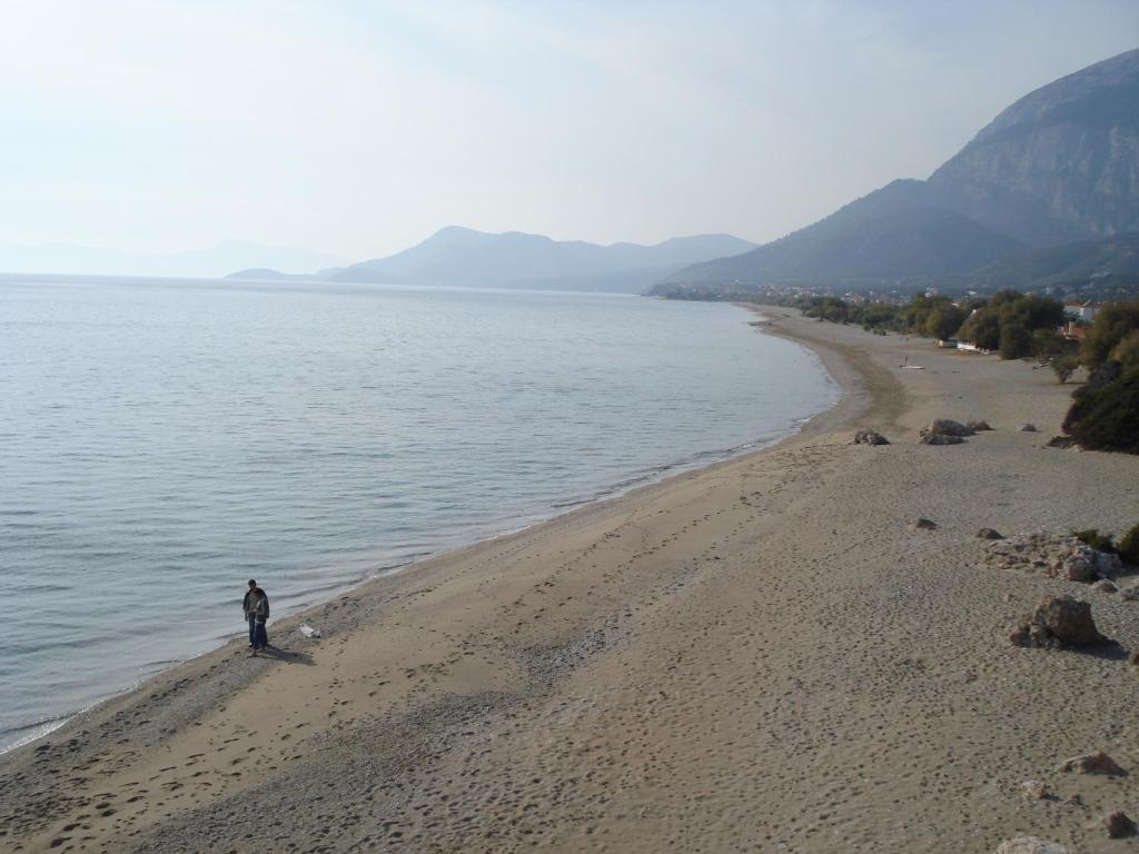 Pelagia Apartment Marathokampos Bagian luar foto